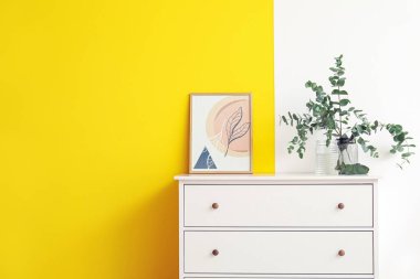 Okaliptüs dallı vazo ve renkli duvarın yanındaki çekmecelerin üstündeki resim.