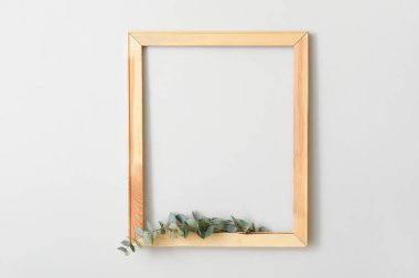 Ak duvarda yeşil okaliptüs dalları asılı ahşap çerçeve