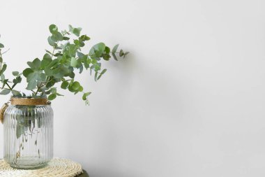 Işık duvarının yanında yeşil okaliptüs dallı vazo.