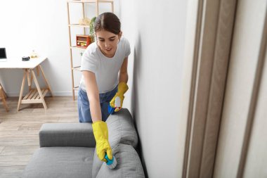 Gri kanepeyi fırça ve deterjanla temizleyen kadın.