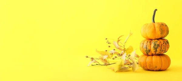 Ώριμες Κολοκύθες Φθινοπωρινά Φύλλα Κίτρινο Φόντο Χώρο Για Κείμενο — Φωτογραφία Αρχείου
