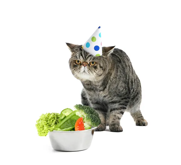모자를 귀여운 고양이와 배경에 야채가 — 스톡 사진