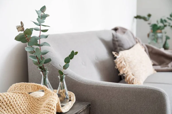 Vases Eucalyptus Branches Table Living Room — Stock Photo, Image