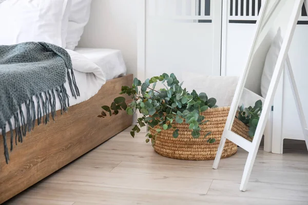 Basket Green Eucalyptus Branches Floor Bedroom — Stock Photo, Image