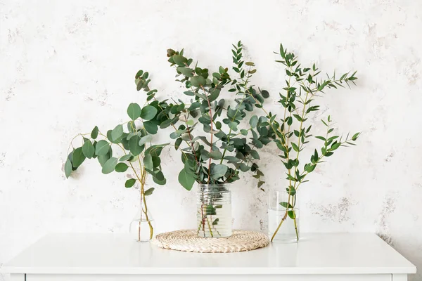 Eucalyptus branches in vases on table near light wall