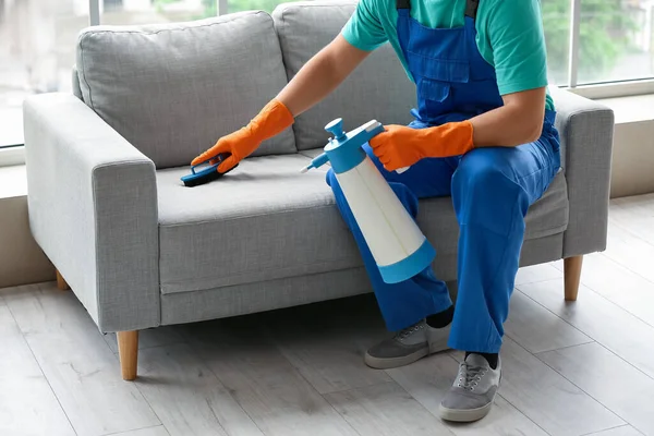 Hombre Trabajador Limpieza Gris Sofá Con Cepillo Habitación —  Fotos de Stock
