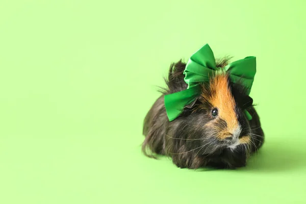 Schattig Cavia Met Mooie Strik Groene Achtergrond — Stockfoto