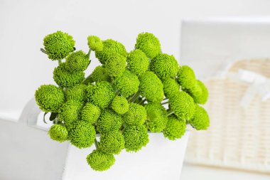 Açık arkaplanda yeşil kasımpatı çiçekli sepet, yakın plan.