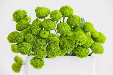 Açık arkaplanda yeşil kasımpatı çiçekli sepet, yakın plan.