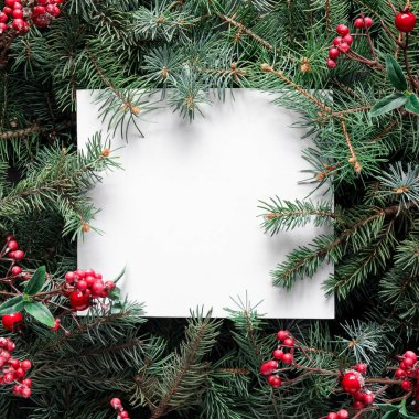 Köknar dallı boş Noel kartpostalı