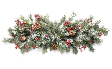 Beyaz arka planda Noel ağacı dalları ve çam kozalakları