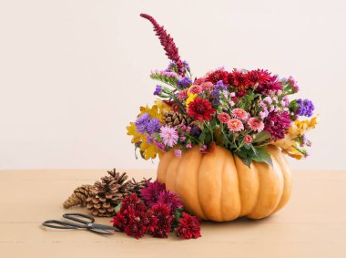 Açık arkaplanda balkabağında güzel bir sonbahar çiçeği