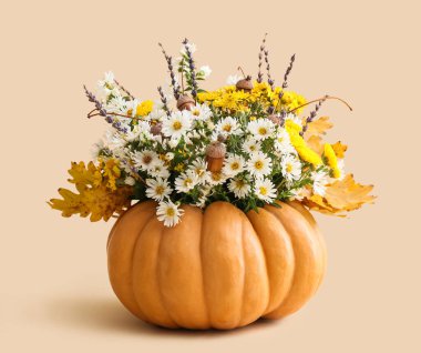 Açık arkaplanda balkabağında güzel bir sonbahar çiçeği