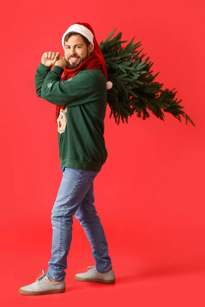 Schöner Mann Mit Weihnachtsmütze Mit Weihnachtsbaum Auf Rotem Hintergrund — Stockfoto