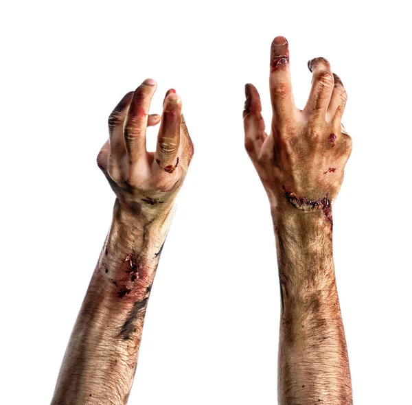 Mani Zombie Sfondo Bianco — Foto Stock