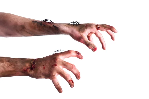 Ruce Zombie Bílém Pozadí — Stock fotografie