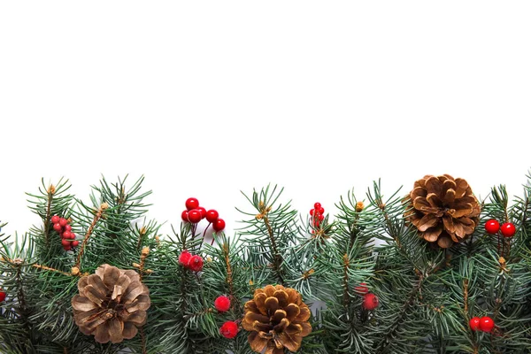 Christmas Fir Branches Pine Cones White Background — Stock Photo, Image