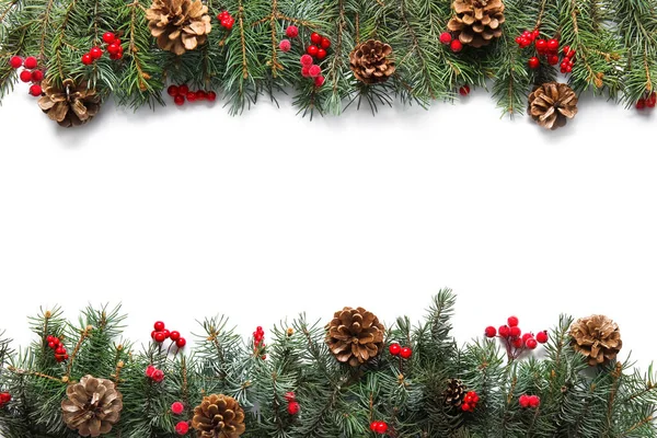 白色背景下的圣诞树分枝和松果 — 图库照片