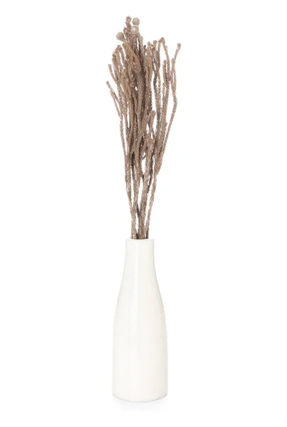 Vase Dried Flowers White Background — Stock Photo, Image