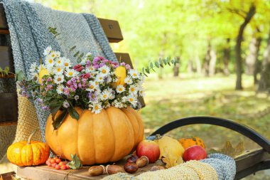 # Güzel bir buket sonbahar çiçeği # # Kabakta, bankta açık havada #