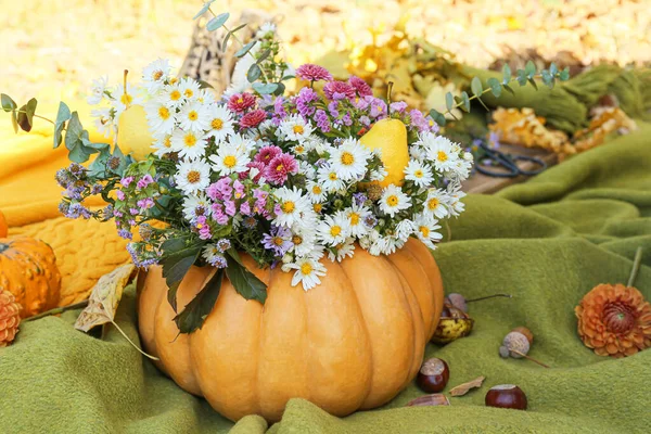 Beautiful Bouquet Autumn Flowers Pumpkin Warm Plaid Outdoors — Stock Photo, Image