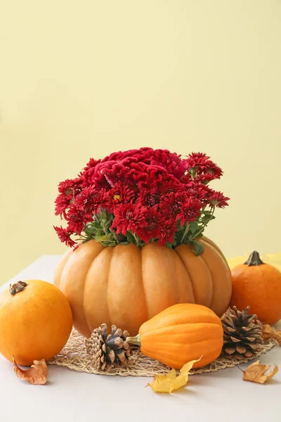 Beautiful Bouquet Autumn Flowers Pumpkin Table Beige Wall — Stock Photo, Image