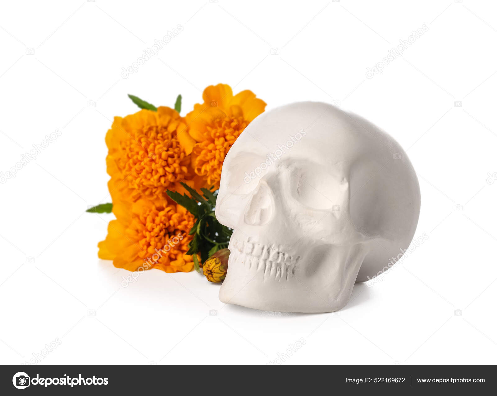 墨西哥死者纪念日dia Muertos 的骷髅白色背景的花朵 图库照片 C Serezniy