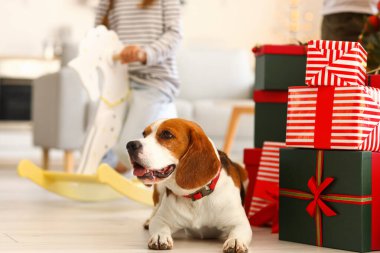 Noel hediyelerinin yanında sevimli bir köpek.