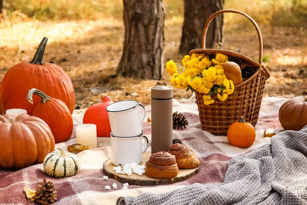 Tasty Food Drink Romantic Picnic Forest — Stock Photo, Image