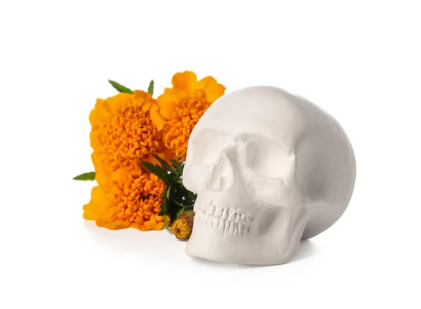 Human Skull Mexico Day Dead Dia Muertos Flowers White Background — Stock Photo, Image