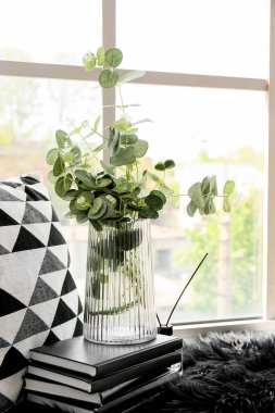 Pencerenin yanındaki kitaplarda okaliptüs olan cam vazo.