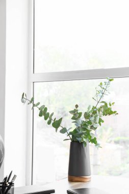 Pencerenin yanındaki masada okaliptüs vazosu var.