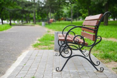 Güzel şehir parkında boş bank