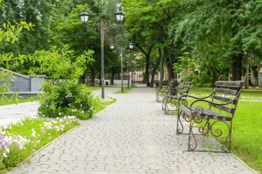 Güzel şehir parkındaki sokak lambaları ve banklarıyla