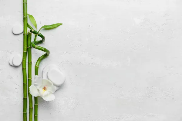 Bamboo Branches Flower Spa Stones White Background — Stock Photo, Image