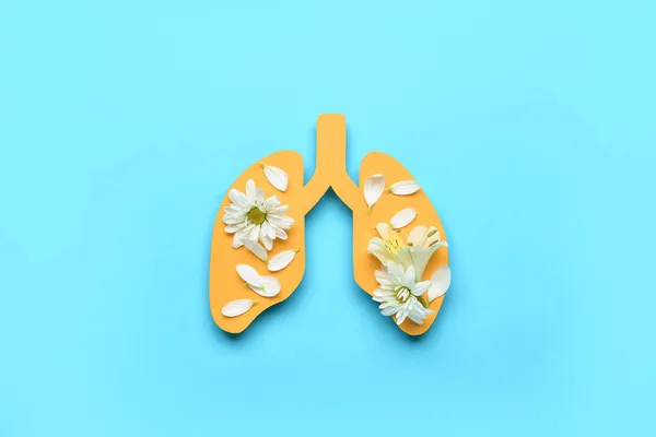 Paper Lungs Fresh Flowers Blue Background — Stock Photo, Image