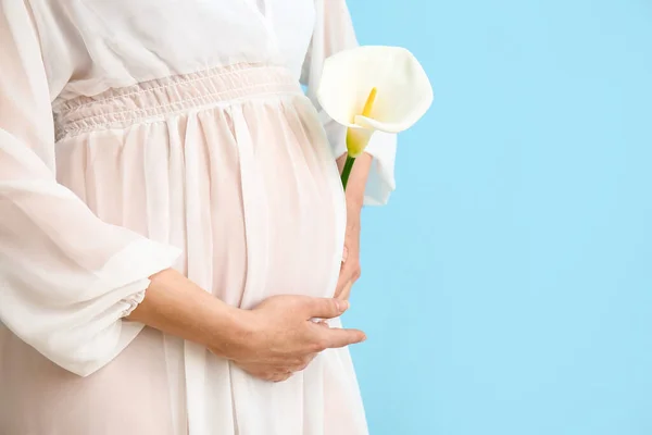 Młoda Kobieta Ciąży Calla Lily Niebieskim Tle Zbliżenie — Zdjęcie stockowe