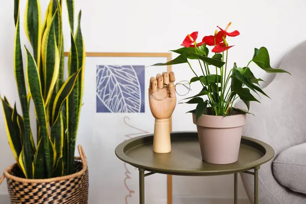 Wooden Hand Holding Eyeglasses Anthurium Flower Pot Table — Stock Photo, Image