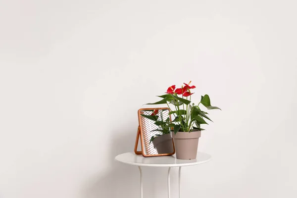 Anthurium Flor Maceta Espejo Mesa Cerca Pared Blanca — Foto de Stock