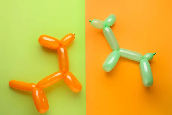 Psy Wykonane Balonów Tle Koloru — Zdjęcie stockowe