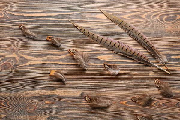 Beautiful Pheasant Feathers Wooden Background — Stock Photo, Image