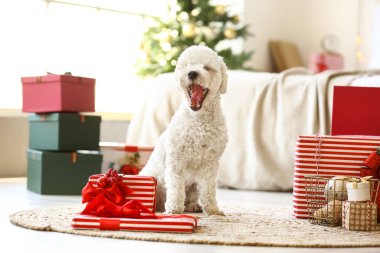 Yatak odasında Noel hediyeleri olan sevimli bir köpek.
