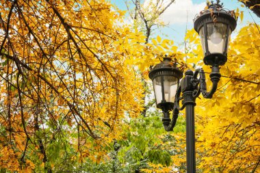 Sonbahar şehir parkında lamba direği