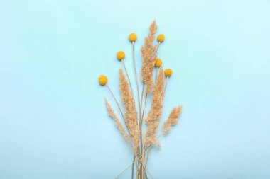 Mavi arka planda güzel kurumuş çiçekler