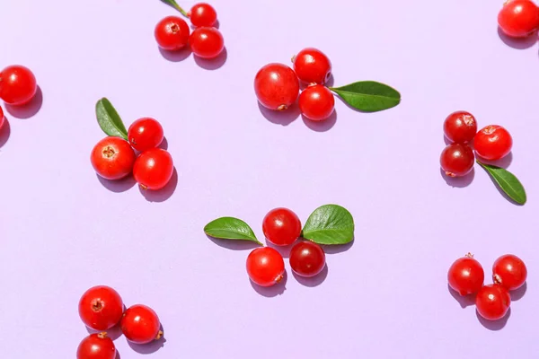 Ripe Lingonberry Lilac Background Closeup — Stock Photo, Image