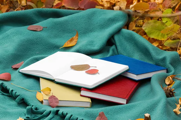 Kirjoja Lämmin Ruudullinen Syksyllä Puistossa — kuvapankkivalokuva