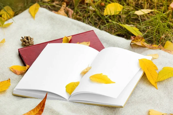 Kirjoja Lämmin Ruudullinen Syksyllä Puistossa — kuvapankkivalokuva