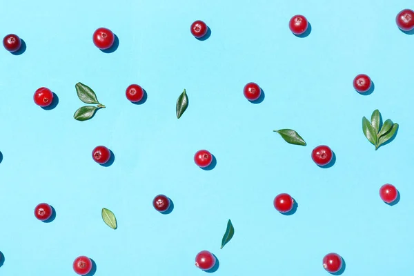 Rijp Lingonberry Blauwe Achtergrond — Stockfoto