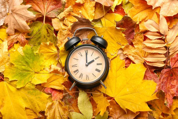 Ξυπνητήρι Στα Φθινοπωρινά Φύλλα Θερινή Ώρα Τελειώνει — Φωτογραφία Αρχείου