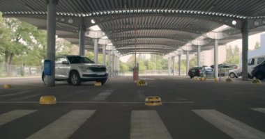 Zebra araba park yerinden geçiyor.